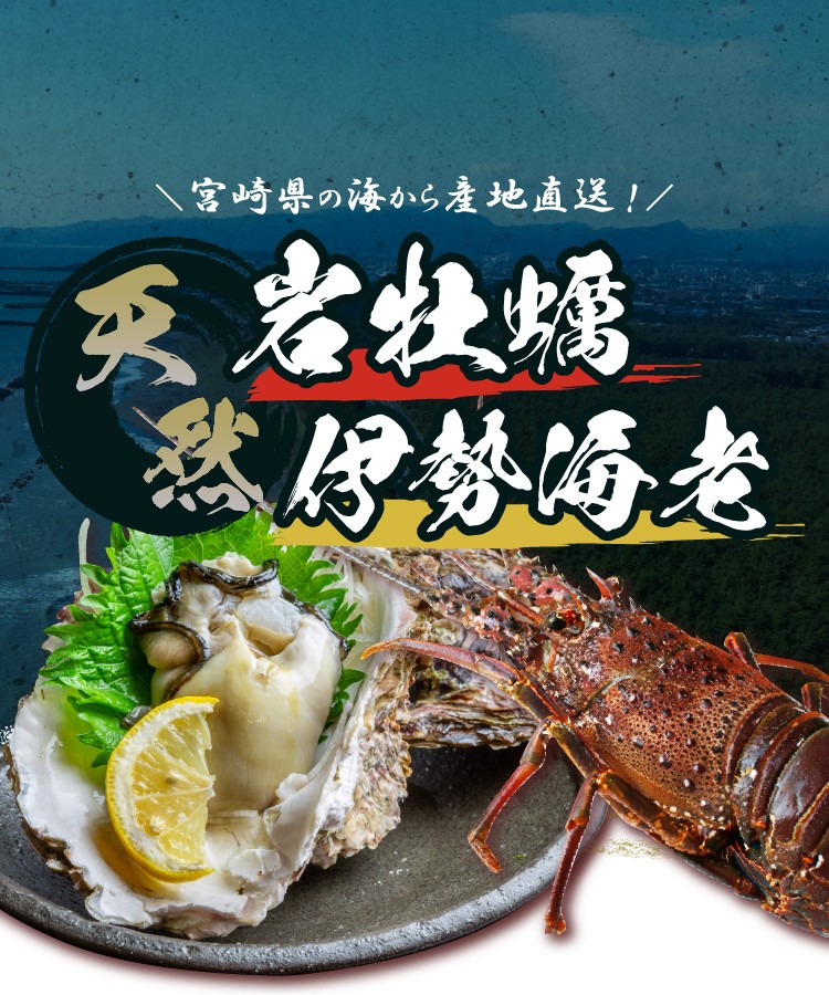 宮崎県の海から産地直送！ 天然岩牡蠣と伊勢海老